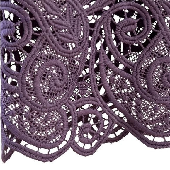 Anthropologie Maeve Embroidered Lace Mini Dress Size 2 NWOT - Picture 9 of 15